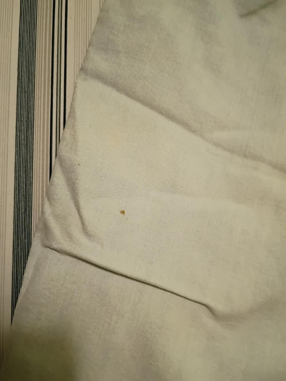 Gloria Vanderbilt Light Blue Women's Jean Shorts - Picture 4 of 4